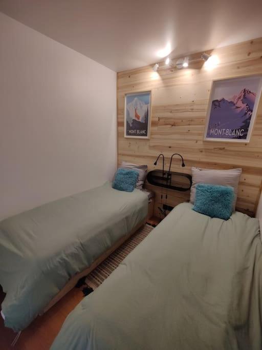 Apartement Vue Montage Magnifique 2Ch 5Mn Piste 3 莱苏什 外观 照片