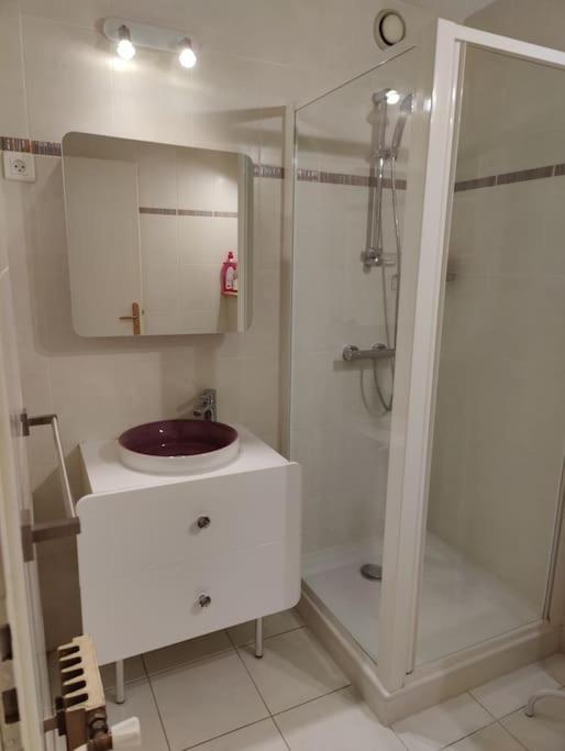 Apartement Vue Montage Magnifique 2Ch 5Mn Piste 3 莱苏什 外观 照片